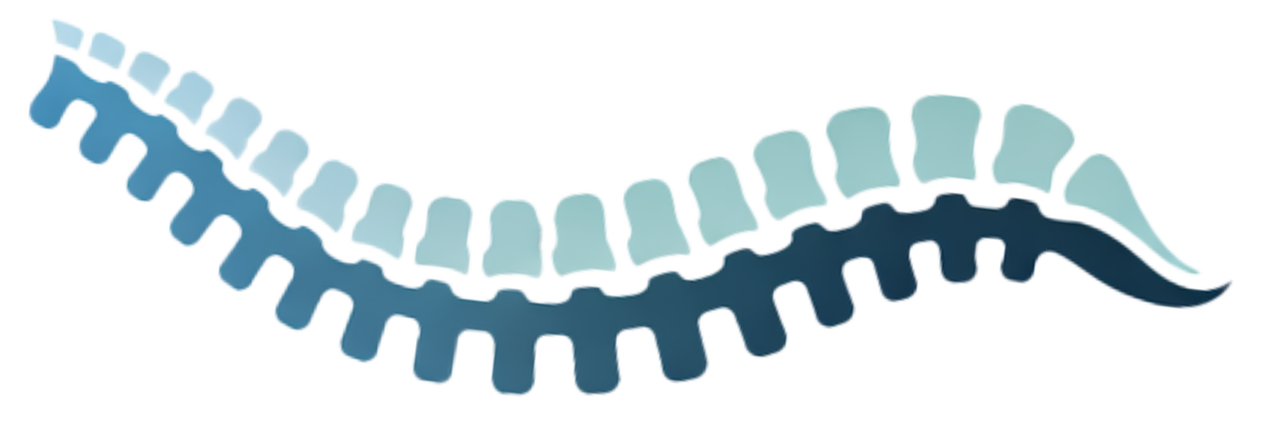 A decorate spine.